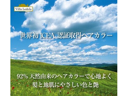 セン(SEN)の写真