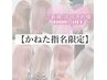 【かねた指名限定】カット＋ハイブリーチカラー（ケアブリーチ２回＋艶カラー