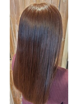 ハウス(the HOUSE) ボルドーブラウン