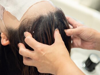 オーガニックハーブヘアカラー専門店DELIGHTイオンモールとなみ店