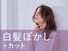 白髪ぼかしハイライト＋カット￥19,800 → 