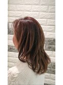 エレガセミディー