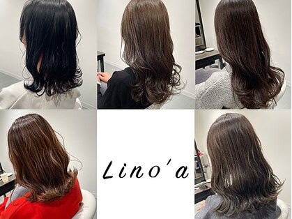リノア(Lino'a)の写真