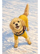 ミルキィウェイ 横浜店(MILKY WAY)&nbsp;MILKYWAY 