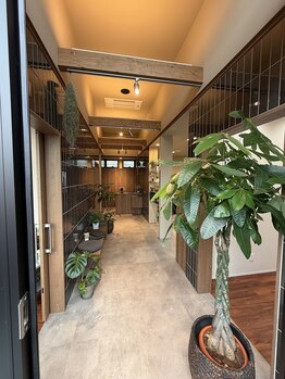 アイディオラ(aidiora)の写真/初めてでもくつろげる。中々長く通える美容室が見つからない！という方も通いやすい個室空間