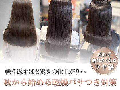 ニード(NEED)の写真
