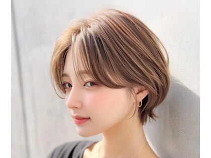 ベルス(bellus)の写真