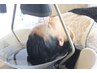 【未来ケア】白髪改善フルオプション＋デザインカット＋艶カラー＋髪質改善