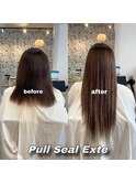 プルシールエクステ
