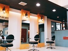 カリダ ムコノソウ(calidad mukonosou)