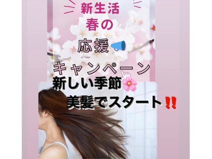 ステラ ユメオイビト(Stella yumeoibito)の写真