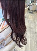 カシスベリー