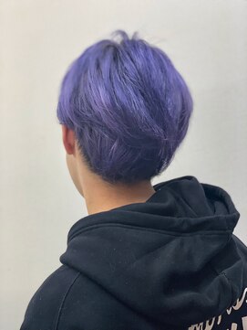 アスター(Aster) Asterゲストスナップ