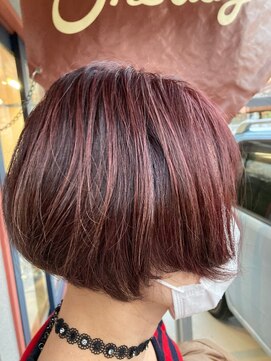 ワンデイ(One day) サロンスタイル【松山】Oneday