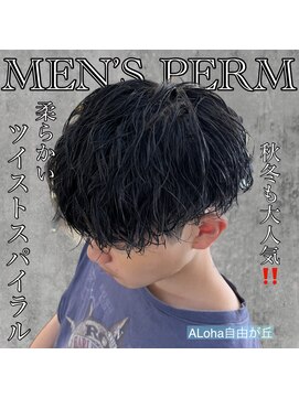 アロハ(ALoha) 自然な《　ツイストスパイラル　》秋冬オススメ！