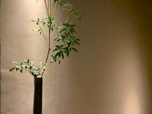 こだわりのインテリア【TV/ファッションショーヘアメイク実績】