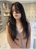 生田ハッシュカット/韓国レイヤーロング