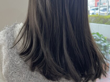 シグサ(SHIGUSA)の写真