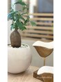 カイノ イオンモール橿原店(KAINO) 店内の植物育成を丁寧に心掛けています☆お気に入りのガジュマル