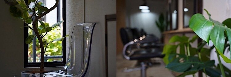 ニト(nito.)のサロンヘッダー