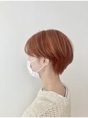 マッシュショート/アプリコットカラー