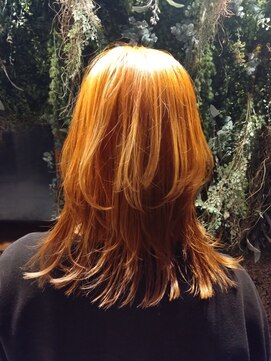 ノーブルヘアー(NOBLE HAIR) オレンジ×ウルフ