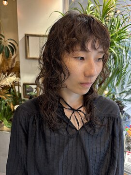 ボルタノット(volta∞knot) 【ボルタノット★YUMI】カーリーヘア