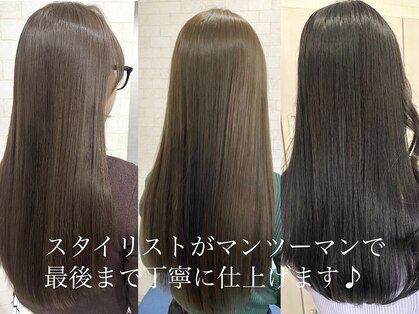 シェミール(CHEMIR)の写真