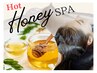 高保湿ケア♪期間限定★hotハニーホイップスパ+カット+カラー(ロングヘア)