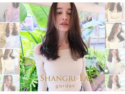 シャングリラ(shangri-la)の写真