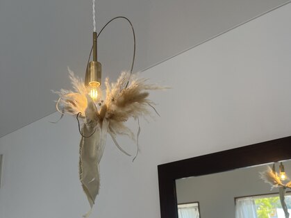 ラテ(Latte)の写真