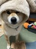 アトレの大事なお客様クーポン＾＾