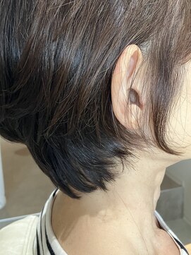 本と南風 guest design