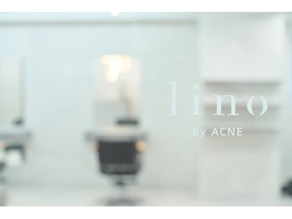 リノバイアクネ(lino by ACNE)の写真