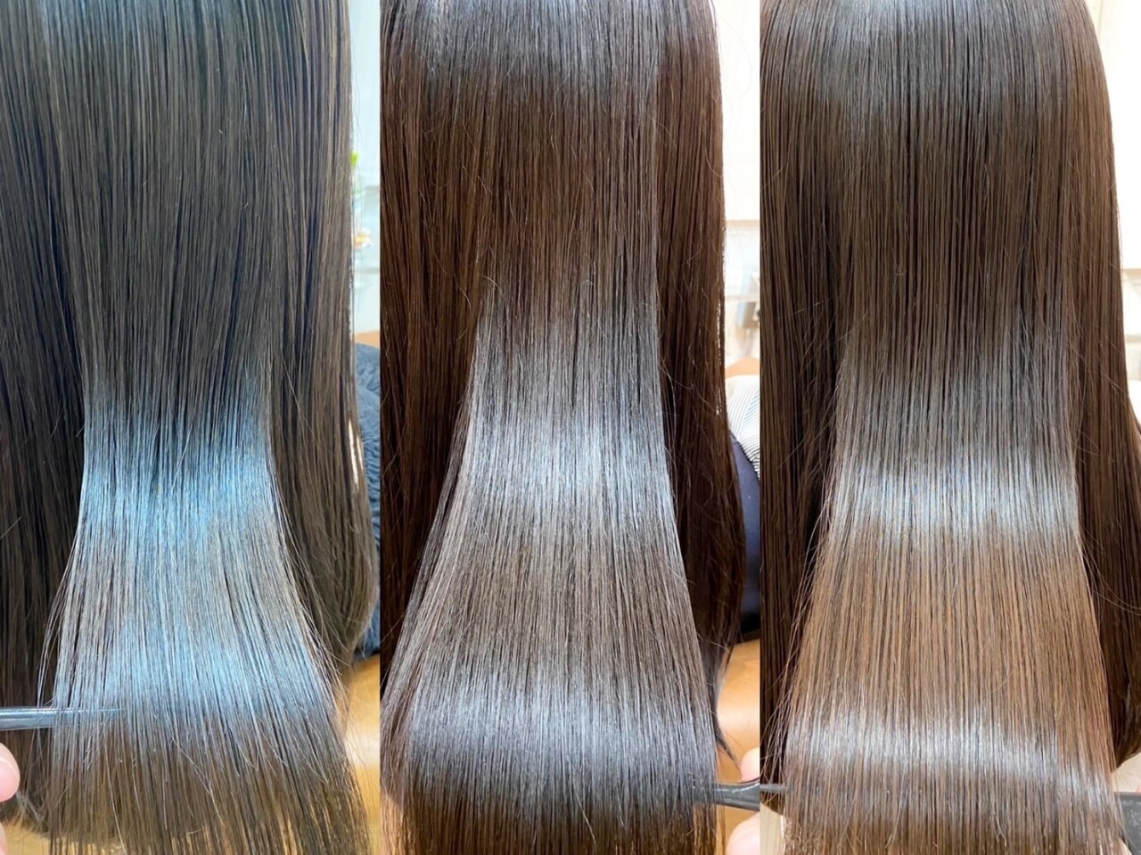 Danae premium treatment SALE ダナエトリートメント① 商品紹介 | 自由が丘の美容室なら髪の病院 TOKYO