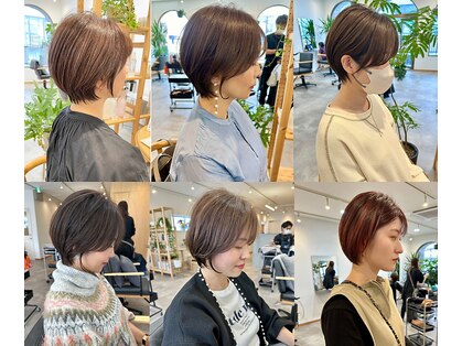 ソラ(SORA.)の写真