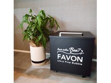 ビーセブン(Bee7)の雰囲気(FAVON導入店☆)