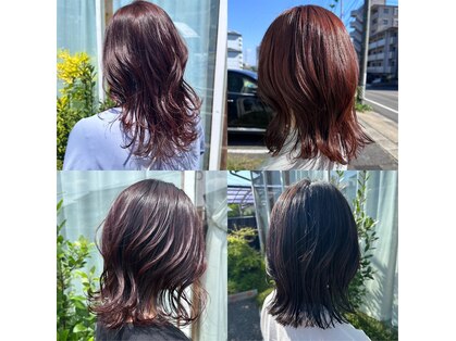 アルベロ(albero)の写真