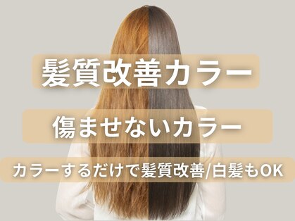 ノア 北浦和店(Noa)の写真