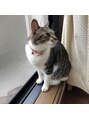 レイミュー 千葉(Lei miu)&nbsp;実家の猫。マイケル男の子です！！ねこ好きですー！！