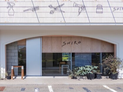 シロ(SHIRO)の写真