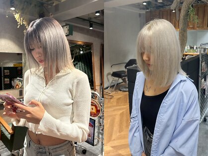 レイブンズ(Ravens)の写真