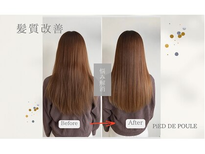 ピエドプール(PiED DE POULE)の写真