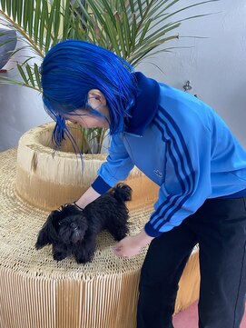 フィン(fin,) fin,/くびれヘア/似合わせカット/デザインカラー/ツートンカラー