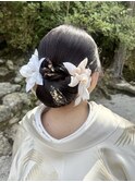 ツヤシニヨン