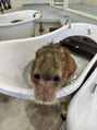 エクリジユウガオカ(equri Jiyugaoka) 動物が大好きです！