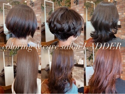 ラダー(LADDER)の写真