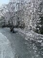 ヘア ヴィーヴル 田宮店(Hair BIVRE) バイクと景色撮りがち