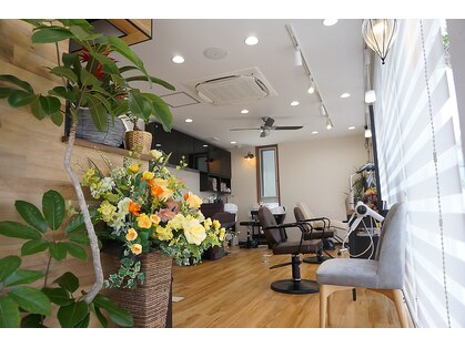 ケアオブヘア キリ(care of hair kiri)の写真
