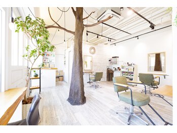 Lucio【ルチオ】